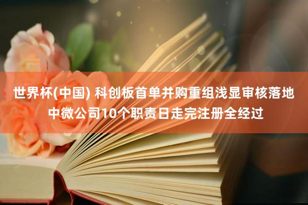 世界杯(中国) 科创板首单并购重组浅显审核落地 中微公司10个职责日走完注册全经过