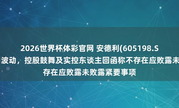 2026世界杯体彩官网 安德利(605198.SH)：股价特别波动，控股鼓舞及实控东谈主回函称不存在应败露未败露紧要事项