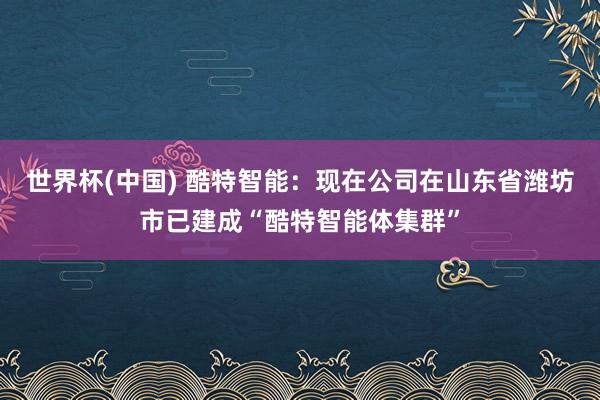 世界杯(中国) 酷特智能：现在公司在山东省潍坊市已建成“酷特智能体集群”
