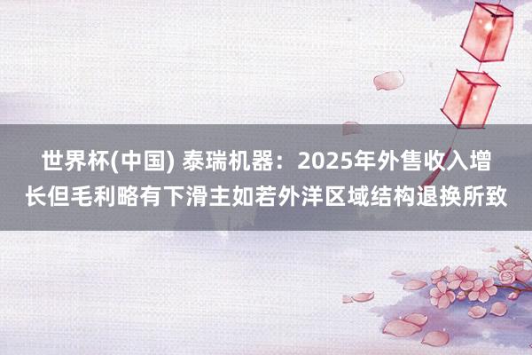 世界杯(中国) 泰瑞机器：2025年外售收入增长但毛利略有下滑主如若外洋区域结构退换所致