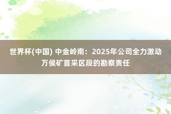 世界杯(中国) 中金岭南：2025年公司全力激动万侯矿首采区段的勘察责任