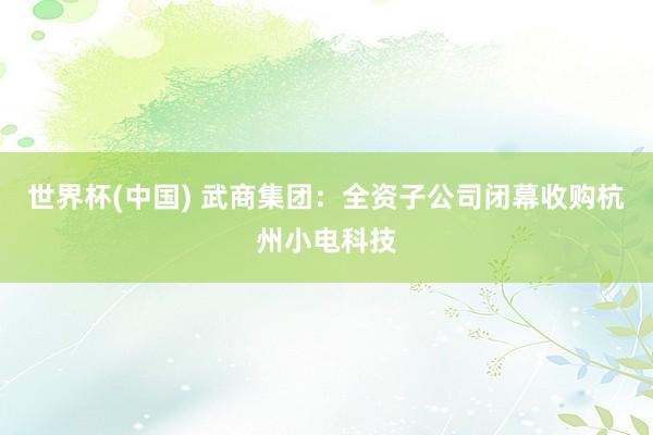 世界杯(中国) 武商集团：全资子公司闭幕收购杭州小电科技