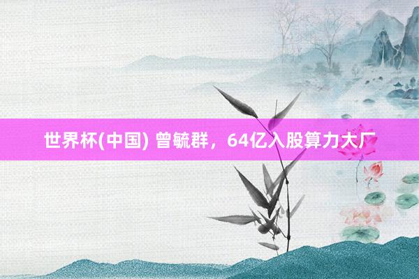 世界杯(中国) 曾毓群，64亿入股算力大厂