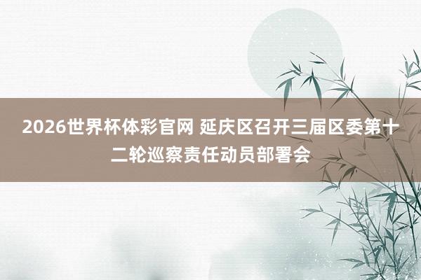 2026世界杯体彩官网 延庆区召开三届区委第十二轮巡察责任动员部署会