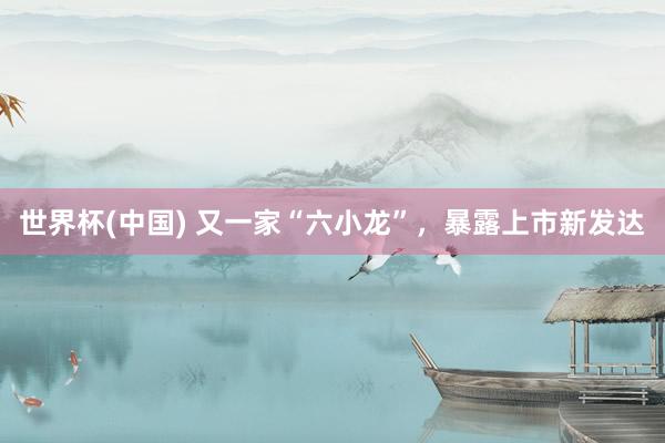 世界杯(中国) 又一家“六小龙”，暴露上市新发达