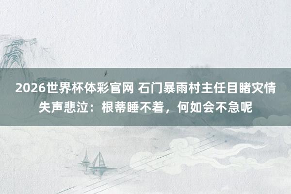 2026世界杯体彩官网 石门暴雨村主任目睹灾情失声悲泣：根蒂睡不着，何如会不急呢