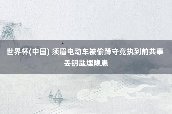 世界杯(中国) 须眉电动车被偷蹲守竟执到前共事 丢钥匙埋隐患