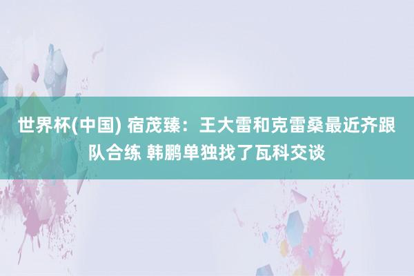 世界杯(中国) 宿茂臻：王大雷和克雷桑最近齐跟队合练 韩鹏单独找了瓦科交谈