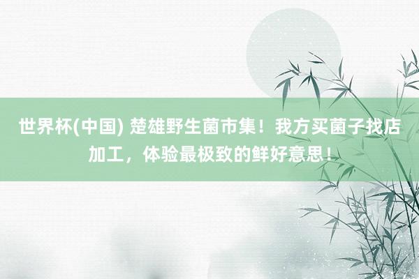 世界杯(中国) 楚雄野生菌市集！我方买菌子找店加工，体验最极致的鲜好意思！