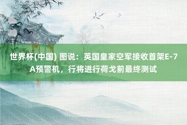 世界杯(中国) 图说：英国皇家空军接收首架E-7A预警机，行将进行荷戈前最终测试