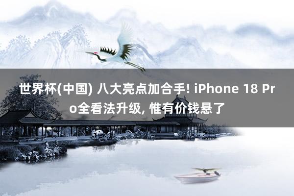 世界杯(中国) 八大亮点加合手! iPhone 18 Pro全看法升级， 惟有价钱悬了