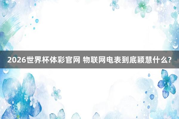 2026世界杯体彩官网 物联网电表到底颖慧什么?