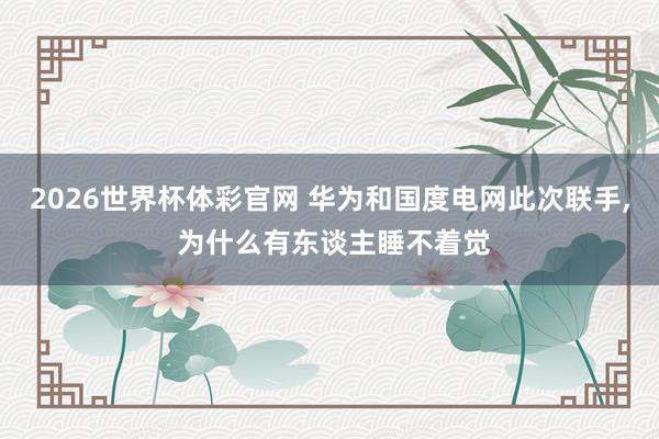 2026世界杯体彩官网 华为和国度电网此次联手， 为什么有东谈主睡不着觉
