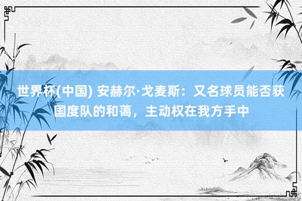 世界杯(中国) 安赫尔·戈麦斯：又名球员能否获国度队的和蔼，主动权在我方手中
