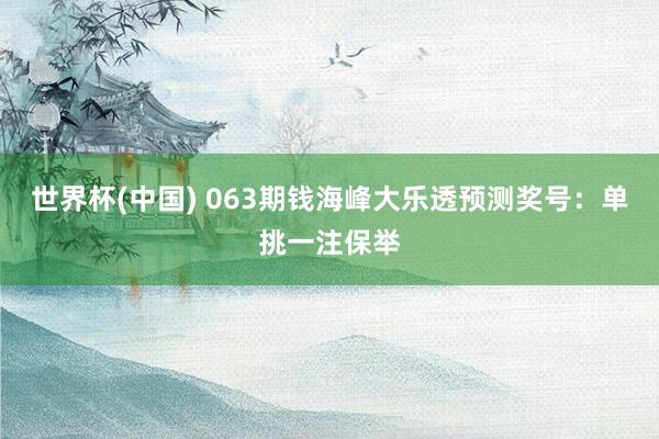 世界杯(中国) 063期钱海峰大乐透预测奖号：单挑一注保举