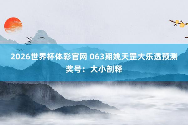 2026世界杯体彩官网 063期姚天罡大乐透预测奖号：大小剖释