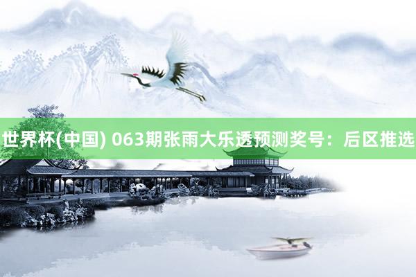 世界杯(中国) 063期张雨大乐透预测奖号：后区推选