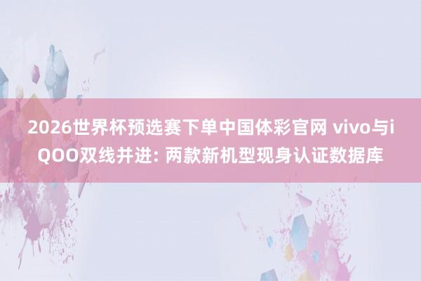 2026世界杯预选赛下单中国体彩官网 vivo与iQOO双线并进: 两款新机型现身认证数据库