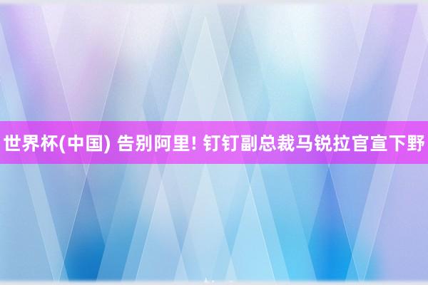 世界杯(中国) 告别阿里! 钉钉副总裁马锐拉官宣下野