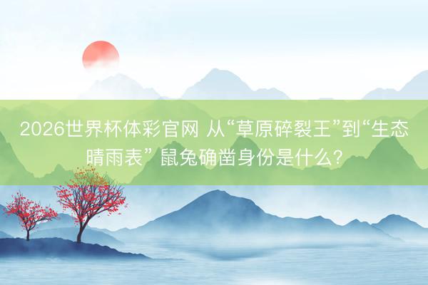 2026世界杯体彩官网 从“草原碎裂王”到“生态晴雨表” 鼠兔确凿身份是什么？