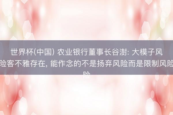 世界杯(中国) 农业银行董事长谷澍: 大模子风险客不雅存在， 能作念的不是扬弃风险而是限制风险