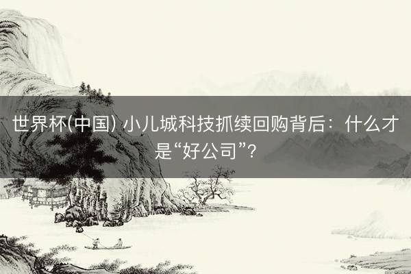 世界杯(中国) 小儿城科技抓续回购背后:什么才是“好公司”?