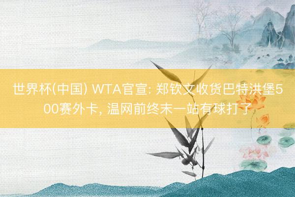 世界杯(中国) WTA官宣: 郑钦文收货巴特洪堡500赛外卡， 温网前终末一站有球打了