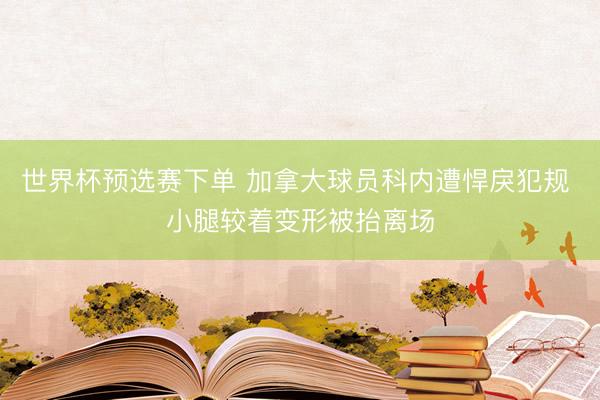 世界杯预选赛下单 加拿大球员科内遭悍戾犯规 小腿较着变形被抬离场